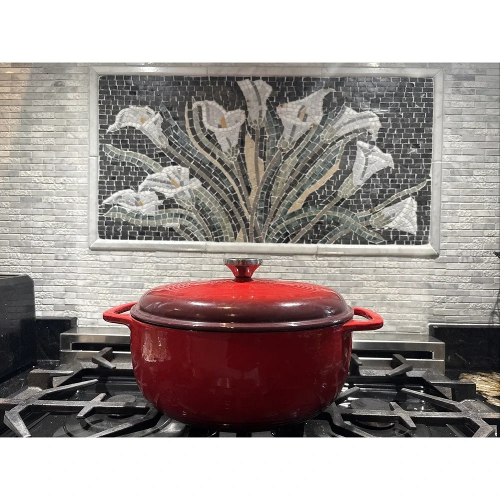 Vintage Lodge Red Color 6-qt. Enameled Cast Iron Dutch Oven